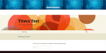 Background Changer - Wordpress Plugin Screenshot 10